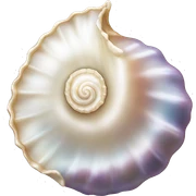 Pearl shell sticker