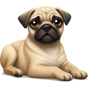 Fawn pug puppy laying sticker