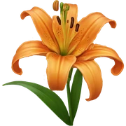 orange lilies  sticker