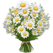daisy and babies breath bouquet  sticker