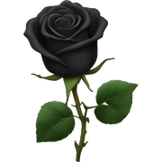 Black rose sticker