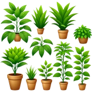 plants sticker