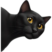 Black cat  sticker