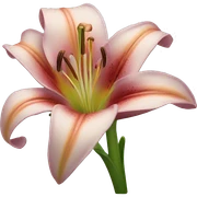 Lily flower sticker