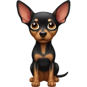 miniature pincher  sticker