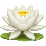 White lotus sticker