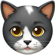 calico cat sticker