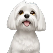 maltese  sticker