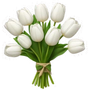 white tulip bouquet  sticker