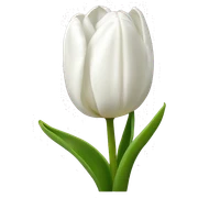 White tulips  sticker