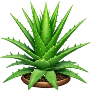 Aloavera sticker