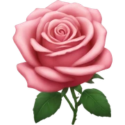Rose sticker