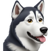 Husky  sticker