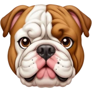 English bulldog sticker