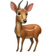 Southern Red Muntjac sticker