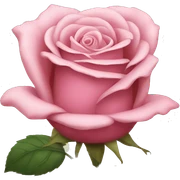 Rose sticker