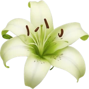 lily sticker