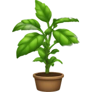 plant sticker