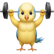 gym budgie at the gym  sticker
