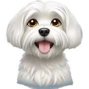 maltese dog sticker