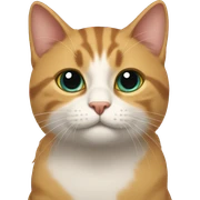 gato sticker