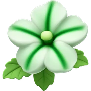 Green coloured Mallow flower. sticker