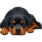 Rottweiler sleeping sticker