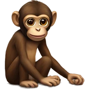 Monkey sunrise sticker
