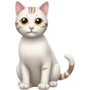 cats sticker