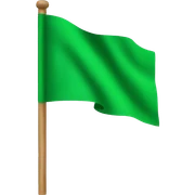 Green flag sticker
