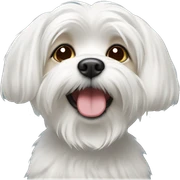 maltese with headpon sticker