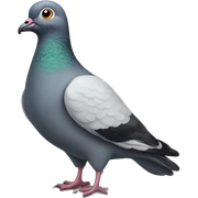 Cartoon pigeon sticker