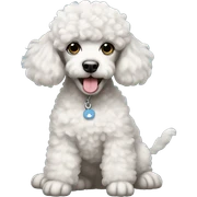 Poodle baby sticker