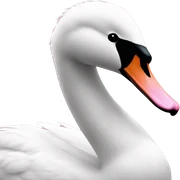 Swan pink  sticker