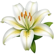 beautiful lily flower with white petals sticker