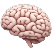 brain learning sticker