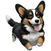 Black corgi swims into water sticker