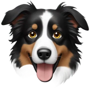 Border collie sticker