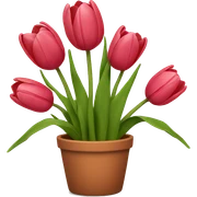 tulips in a pot sticker
