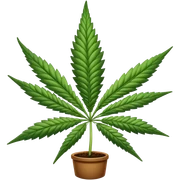 weed sticker