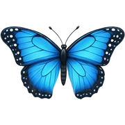 Blue butterfly  sticker