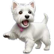 westie bailando sticker
