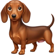 perro salchicha sticker