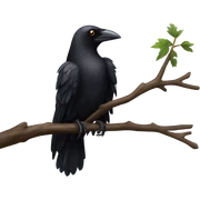 Crow sticker