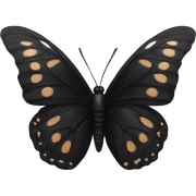Black butterfly  sticker