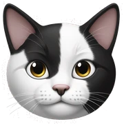 Black and white cat sticker