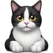 black and white cat sticker