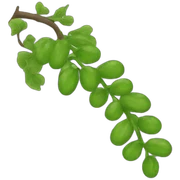 vine sticker