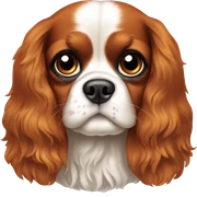 cavalier king charles spaniel sticker