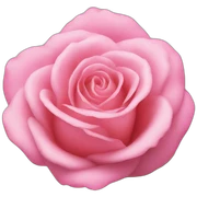 una rosa de color rosa sticker